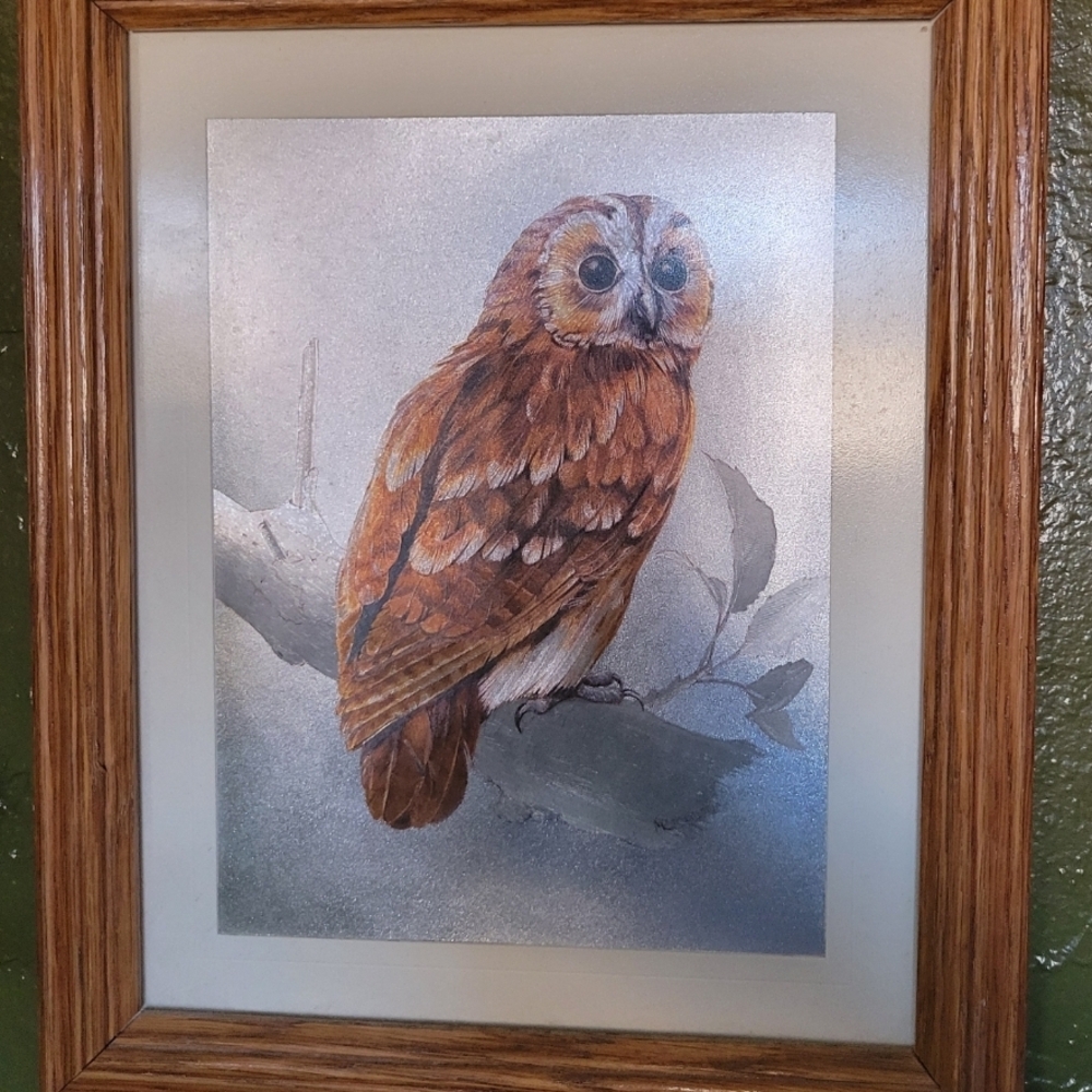 Vintage Framed Barn Owls By Malcoln Greensmith